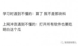 吃瓜公主知乎免费阅读,揭秘宫廷背后的瓜田秘事